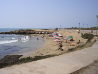 The Beach